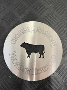 Kaivonkansi Thorsvik